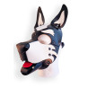 Brutus Cagoule Puppy Hood Noire et Blanche